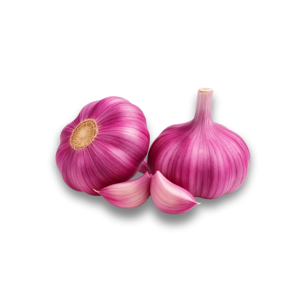 Ajo Chino Morado