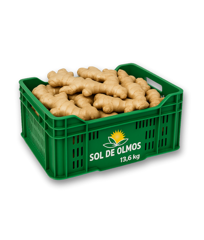 Caja Plástico Ginger