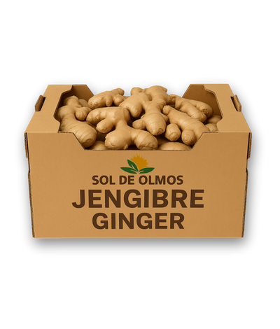 Caja Cartón Corrugado