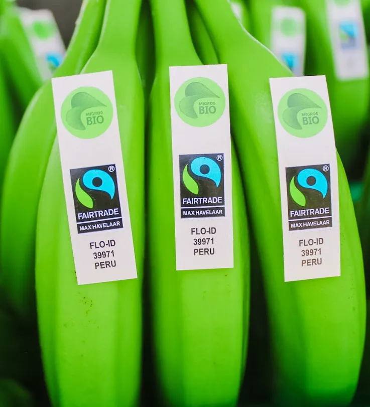 Racimos de Banano Cavendish con etiqueta nutricional