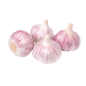 AJO Barranquino