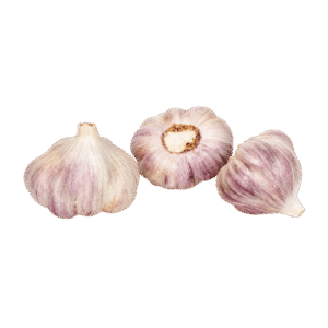 AJO Napuri