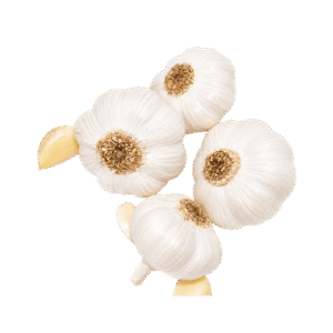 AJOS PERUANO BLANCO