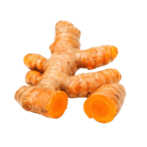 Cúrcuma fresca