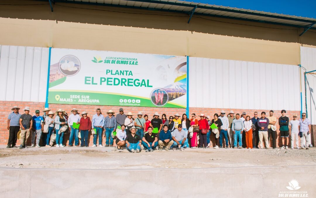 Impulsamos nuestra campaña de ajo con una Mesa Técnica en Majes